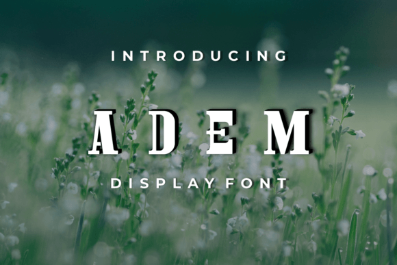 Adem: A Modern Serif Font for Editorial Design and Digital Publishing