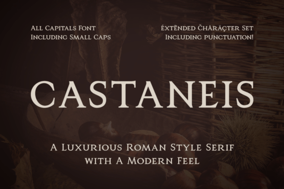 Castaneis Font: Elevate Your Small Business Brand