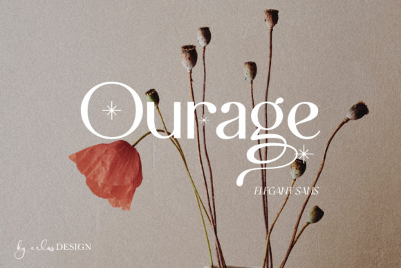 Elevating Brand Identity with Ourage: A Designer’s Real-World Typography Story