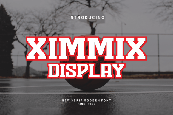 Ximmix Display Font: A Modern Serif for Web Design